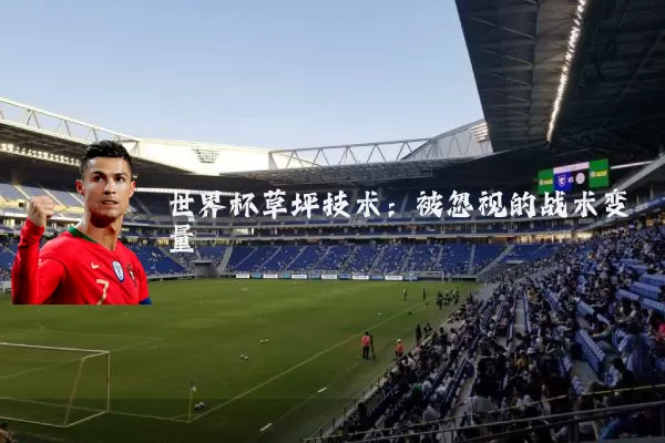 世界杯草坪技术：被忽视的战术变量
